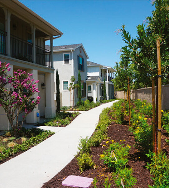 Save water with an economical garden Save water with an economical garden