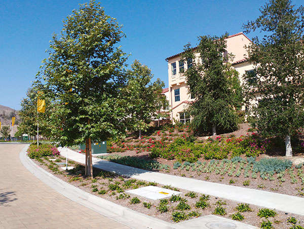 Rebates That Pay for Your Property’s Landscape Upgrade: Why Commercial, HOA & Multifamily Sites Should Act Now