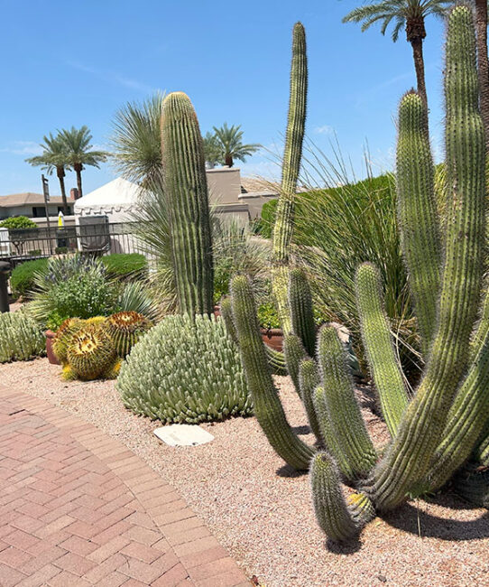 save water when watering plants save water when watering plants