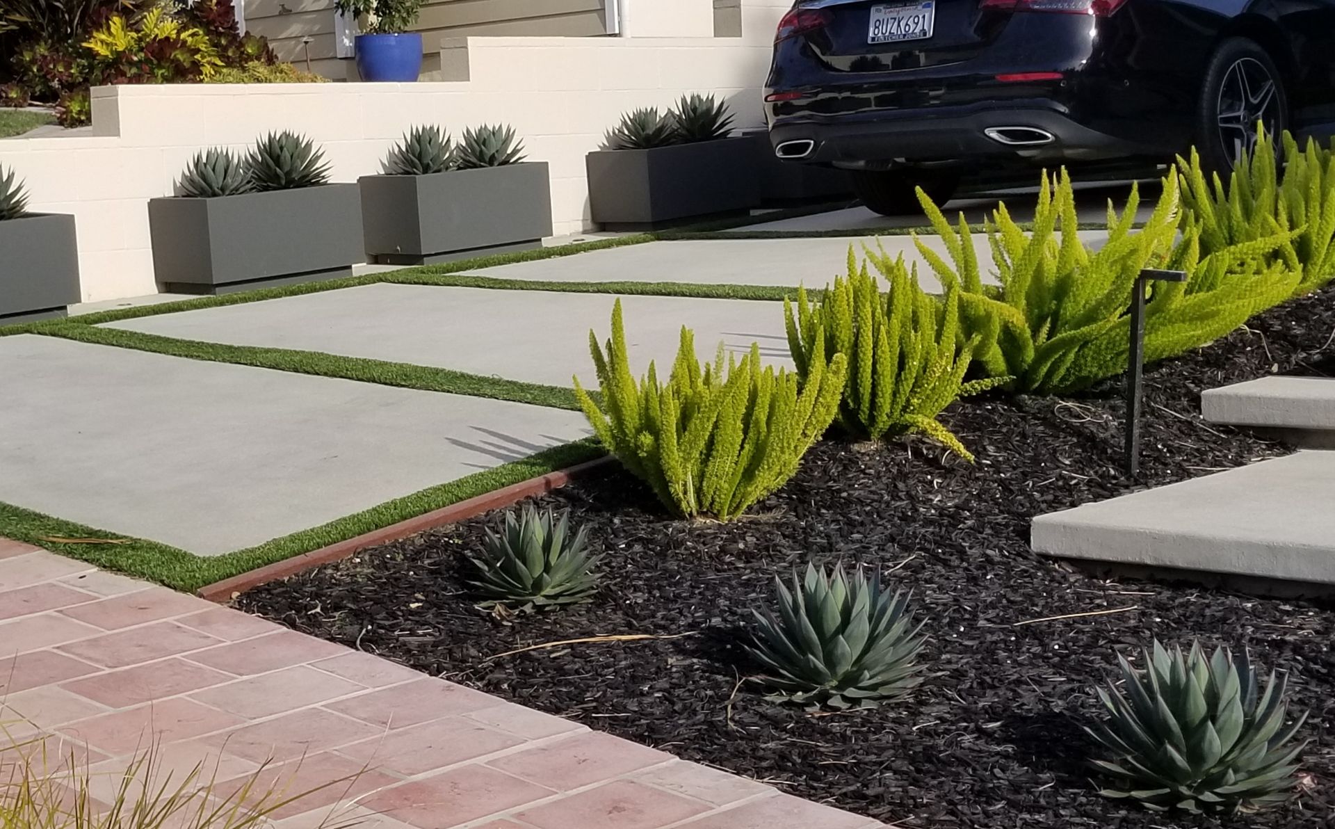 WaterWise Gardening Tips for a Hot Summer and a Strong Fall Transition
