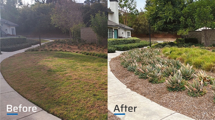 Before & After: Waterwise Wonders