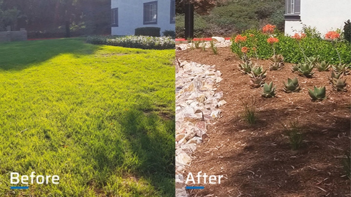 Before & After: Waterwise Wonders