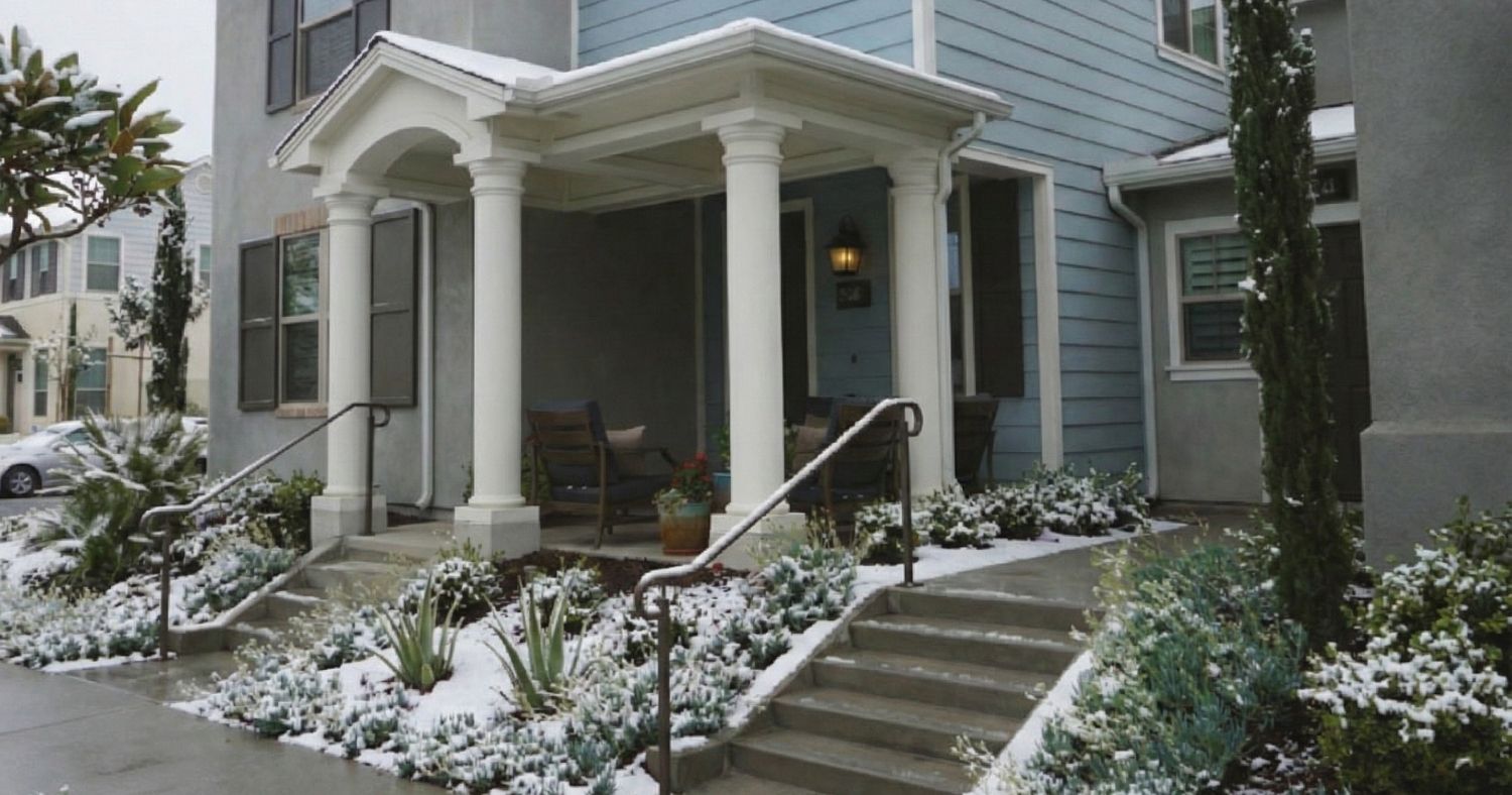 Looking Ahead Softly: How Winter Landscapes in San Diego Prepare for Spring