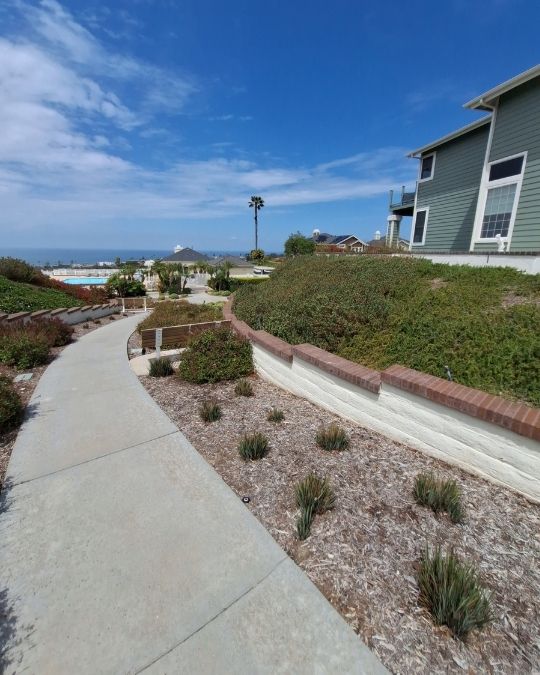 Concrete walkway and brick-capped retaining wall along a planted slope with ocean views on a San Diego property